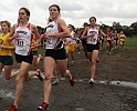 2010NCSXC GD2-2239